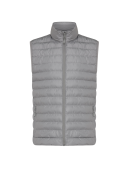 Silver gray