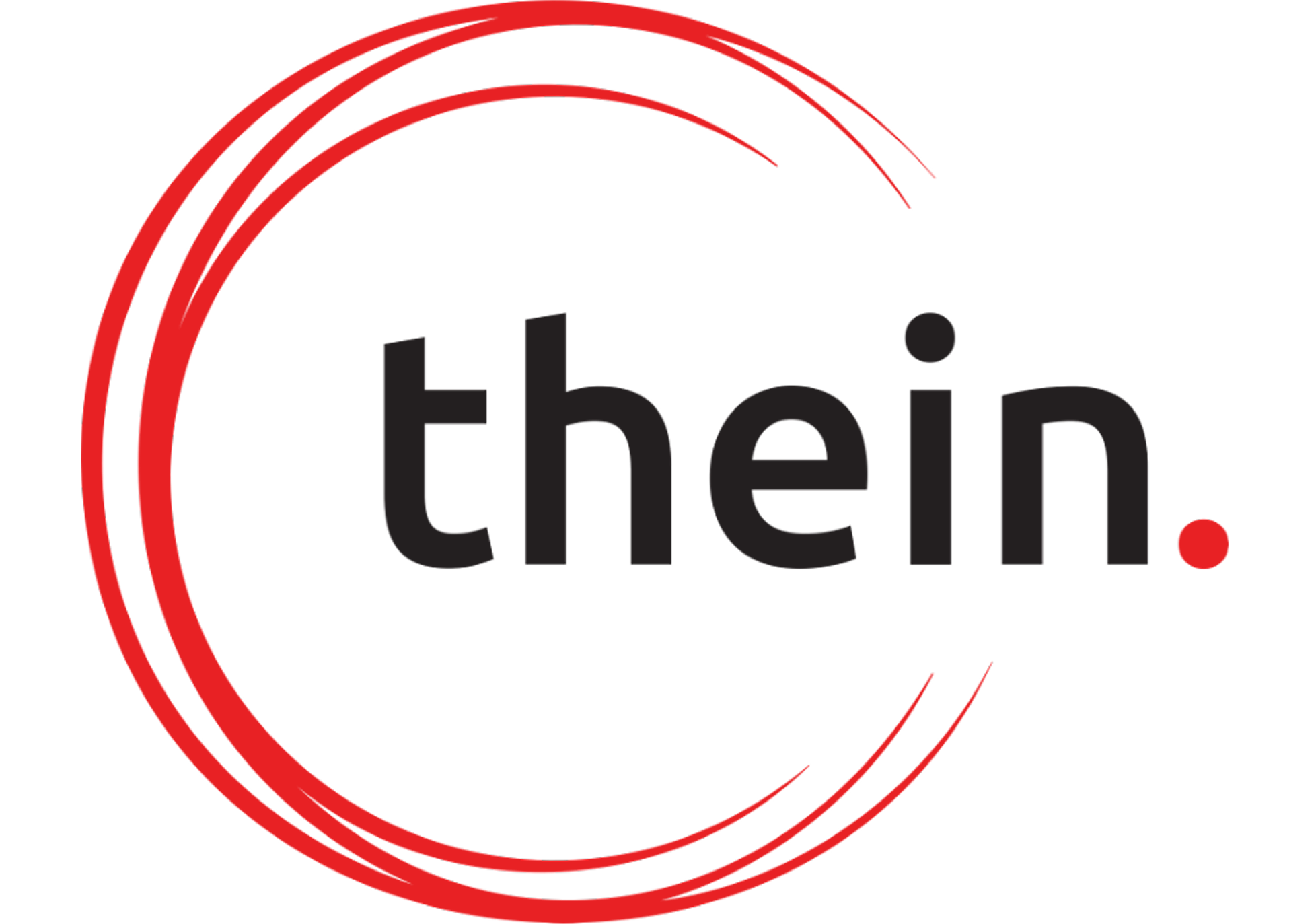 LOGO: Thein